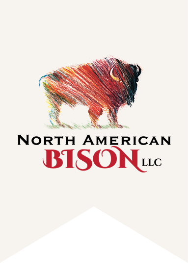 North American Bison